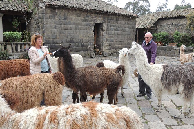 Cotopaxi National Park and Inca Ruins Day Trip - Final Thoughts