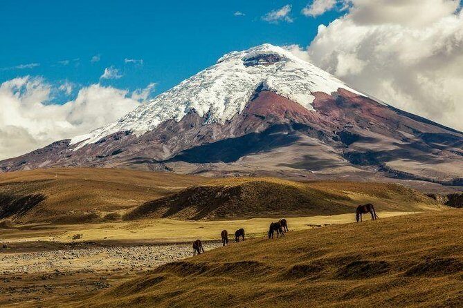 Cotopaxi & Quilotoa 1 day Adventure! - Key Points