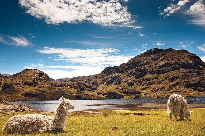 Cotopaxi & Quilotoa 1 day Adventure! - Inside the Tour: From Quito to Ecuador’s Natural Icons