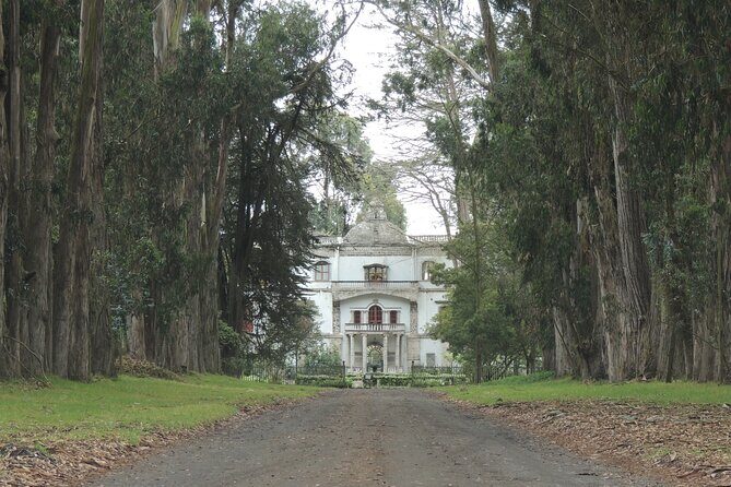 Cotopaxi Volcano and Colonial Farm Day Trip - Who Should Consider This Tour?