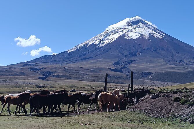 Cotopaxi volcano horseback ride and hike - FAQs