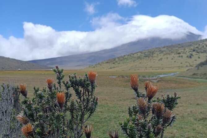 Cotopaxi volcano horseback ride and hike - Final Thoughts