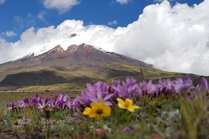 Cotopaxi Volcano & Papallacta Hot Springs  Nature & Relaxation - The Sum Up