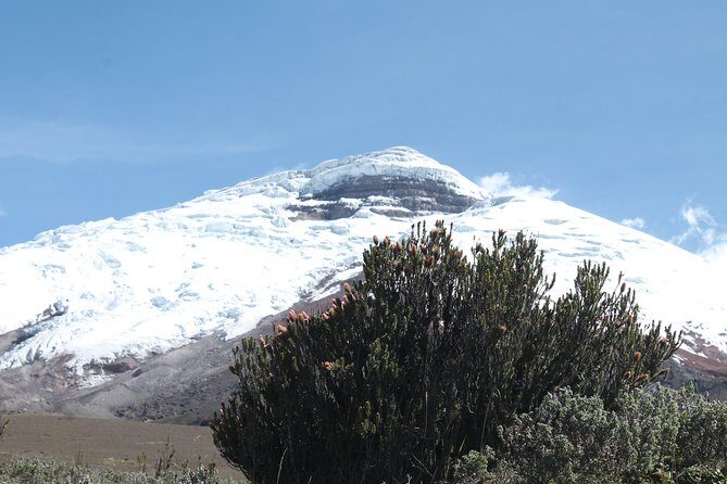 Cotopaxi Volcano (PRIVATE Day Trip from Quito) - Exploring Cotopaxi Volcano: A Private Day Trip from Quito