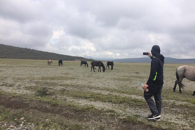 Cotopaxi Volcano (PRIVATE Day Trip from Quito) - The Practicalities