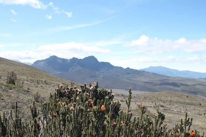 Cotopaxi Volcano (PRIVATE Day Trip from Quito) - Final Thoughts