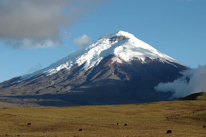 Cotopaxi Volcano Quest! - Who Should Consider This Tour?