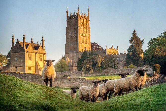 Cotswolds Countryside Tour by Coach: Villages, Views, and Lunch - A Closer Look at the Cotswolds Countryside Tour