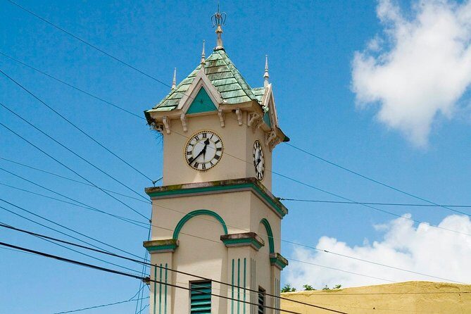 Country Side and Sight Seeing with Dunns River Falls - Who Will Love This Tour?