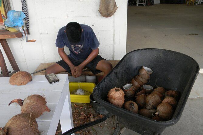 Country Side tour - The Sum Up