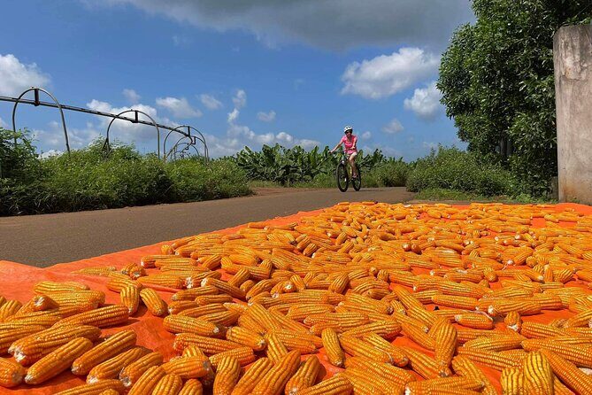 Countryside Biking Experience: Phu My Port - Vietnam - What Really Makes This Tour Stand Out