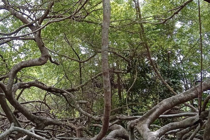 Countryside Bikking - Frequently Asked Questions