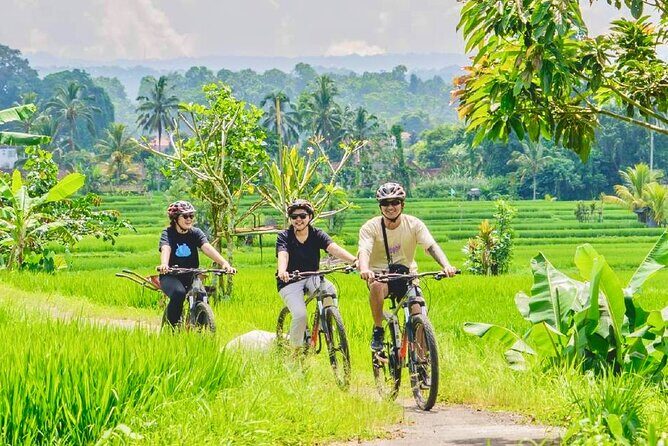 Countryside Cycling Tour From Sigiriya, Dambulla & Habarana - A Scenic Ride Through Rural Sri Lanka: Countryside Cycling Tour from Sigiriya, Dambulla & Habarana