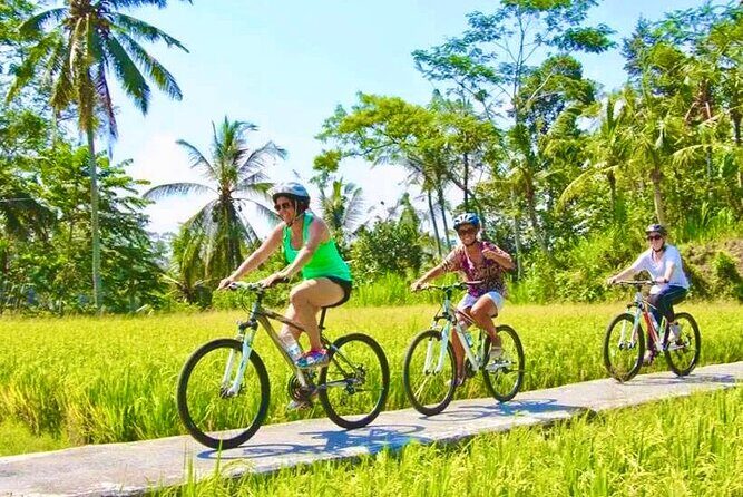 Countryside Cycling Tour From Sigiriya, Dambulla & Habarana - Key Points