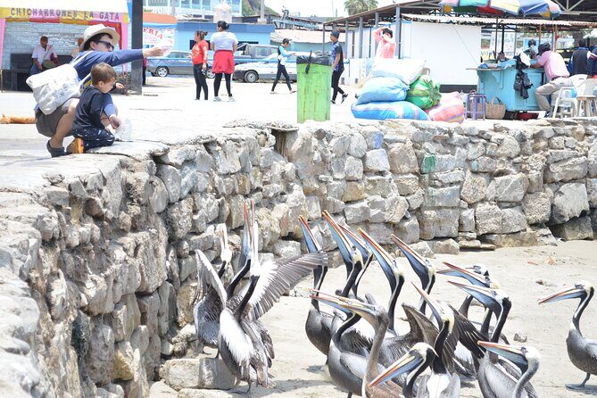 Countryside Hacienda Visit - An In-Depth Look at the Countryside Hacienda Tour