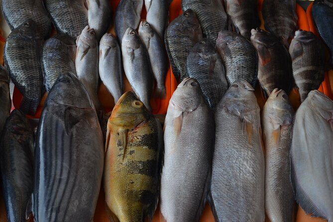 Countryside Hacienda Visit - In The Sum Up