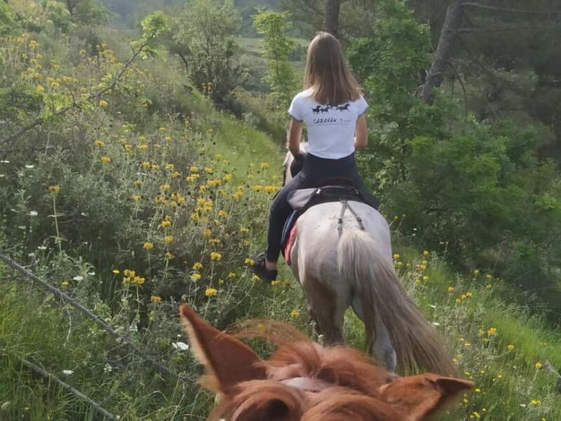 Countryside Horseback Ride in Gjinofshat - The Itinerary: A Day of Scenic Delights
