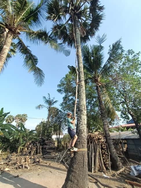 Countryside include Pepper farm, Cave, Salt field & lake... - Key Points