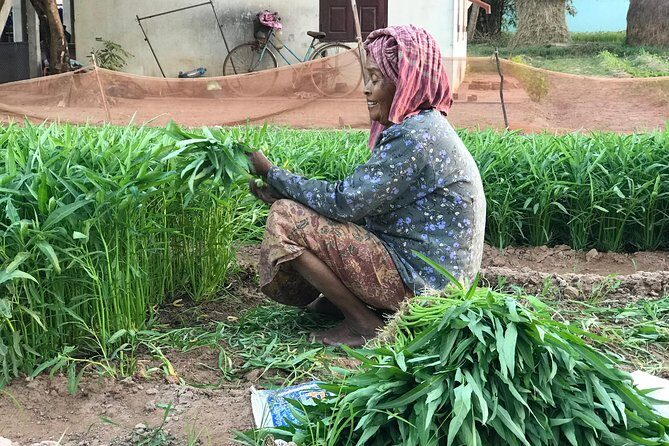 Countryside Sunset Jeep Tour - The Sum Up: Why Choose This Tour?