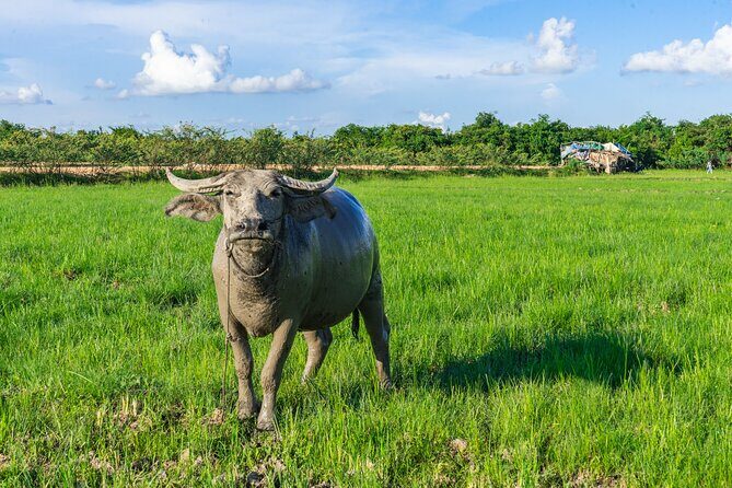 Countryside Sunset Jeep Tour with Drinks included - Why You’ll Love This Tour