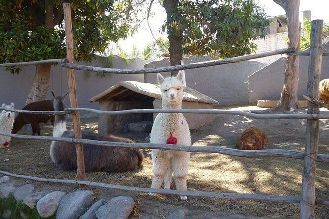 Countryside Tour Arequipa - Who Will Enjoy This Tour?