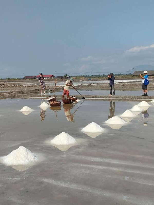 Countryside tours include pepper plantations - Who Will Enjoy This Tour?