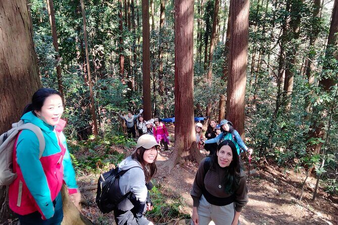 Countryside Walking & Mountain Hiking in Organic Town Near Tokyo - Why This Tour Works for Travelers