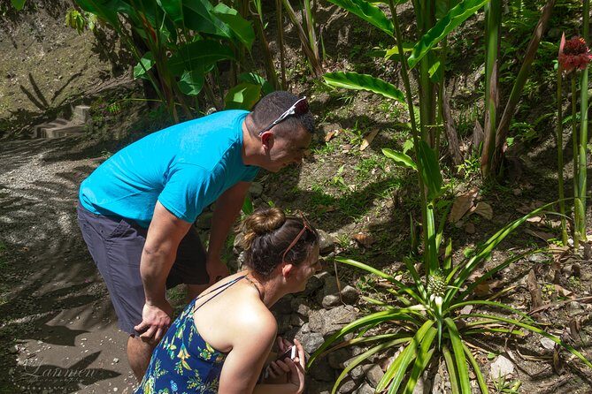 Couples Private St. Lucia Highlights Tour - FAQ