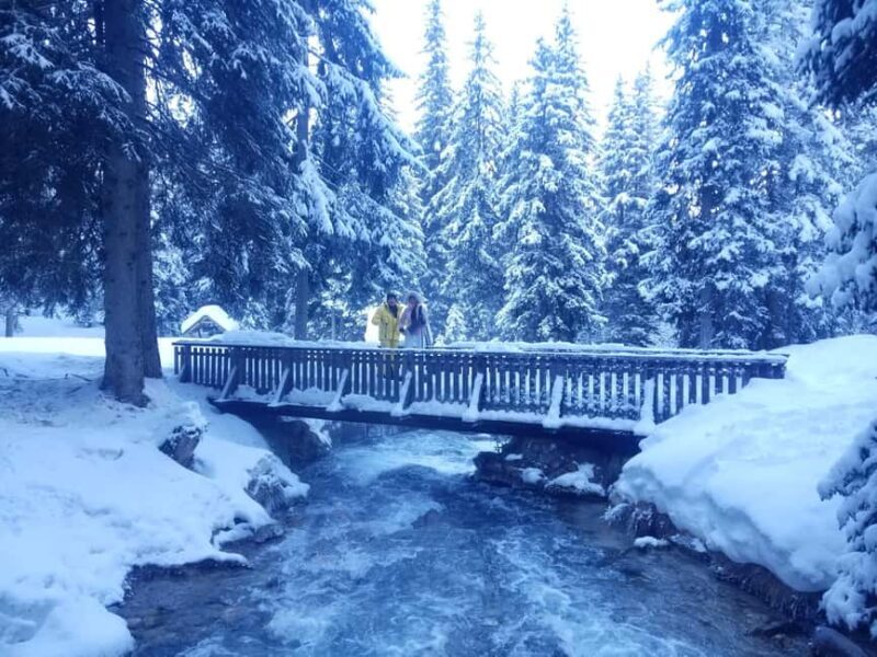 Courchevel: Snowshoeing or Nordic Walking - Exploring Courchevel’s Hidden Trails: Snowshoeing or Nordic Walking