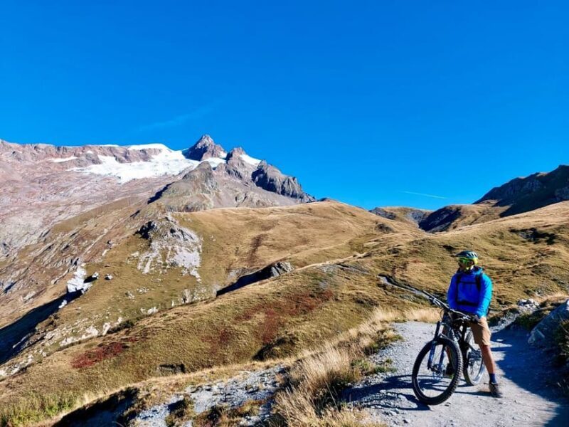 Courmayeur: Ebike experience in Val Veny - The Experience & Its Value