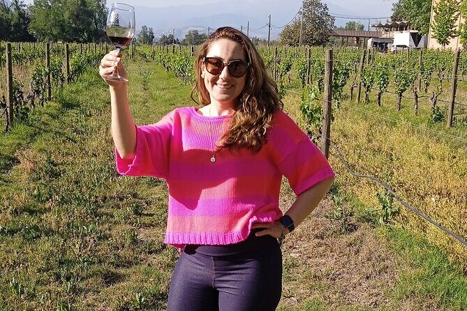 Cousiño Macul Vineyard - Maipo Valley - Premium Tasting - HD - Why This Tour Stands Out