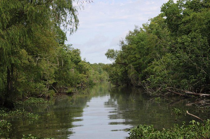 Covered Boat Swamp Tour with Transportation from New Orleans - Who Should Consider This Tour?