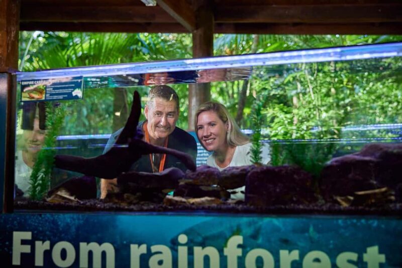 Cow Bay: Daintree Discovery Centre Entry Ticket - Exploring the Daintree Discovery Centre: What to Expect