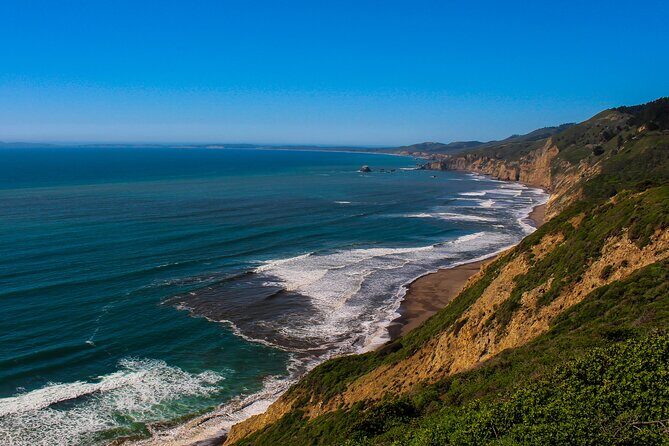 Cow Heaven: A Self-Guided Driving Tour from Point Reyes Seashore to Tomales - What to Expect from the Experience