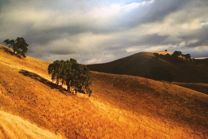 Cow Heaven: A Self-Guided Driving Tour from Point Reyes Seashore to Tomales - Authentic Experiences and Authentic Stories