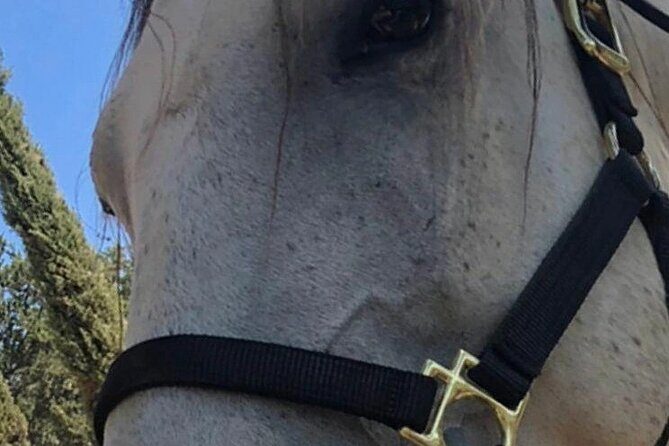 Cowboy Ranch House Sleep and Ride the Canyon - A Detailed Look at the Cowboy Ranch House Sleep and Ride the Canyon Tour