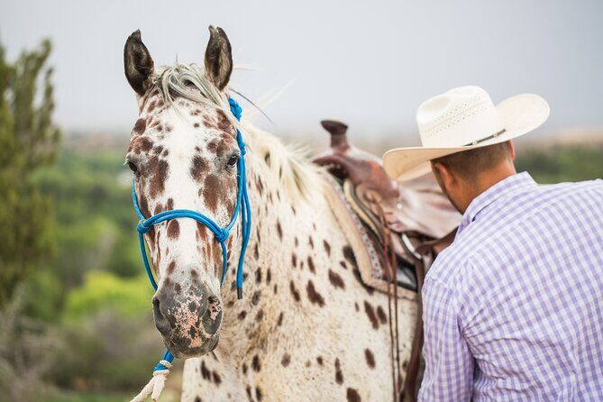 Cowpoke Ride: Adventurous horseback tour just 9 MILES from Sedona - FAQs: Your Questions About the Cowpoke Ride Answered