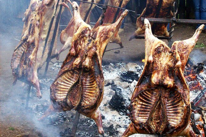 Coyhaique Tour Shore Excursion from P. Chacabuco, include lunch - FAQ