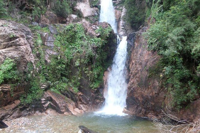 Coyhaique Tour Shore Excursion from P. Chacabuco, include lunch - Who Should Consider This Tour?