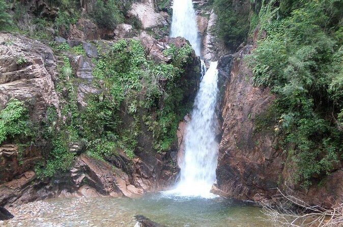 Coyhaique Tour Shore Excursion from P. Chacabuco, include lunch - FAQ