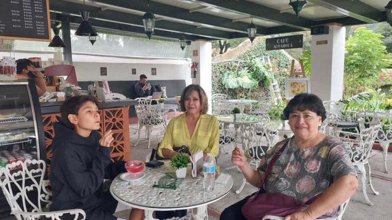 Coyoacán: A Tour of Coyoacán's Cinema, Arts, and Culture - Coyoacán: A Tour of Coyoacáns Cinema, Arts, and Culture