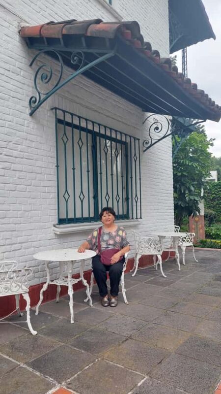 Coyoacán: A Tour of Coyoacán's Cinema, Arts, and Culture - Key Points