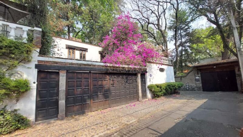 Coyoacán: A Tour of Coyoacán's Cinema, Arts, and Culture - Who This Tour Is Perfect For