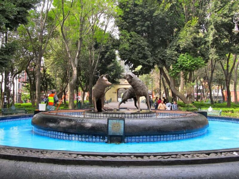 Coyoacán at night: a tour of legends, mysteries, and stories of Mexico City - Key Points