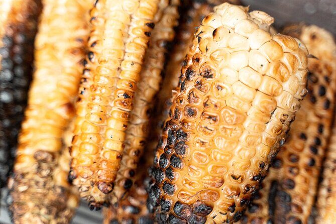 Coyoacan Bohemian Food and History Walk - Final Thoughts