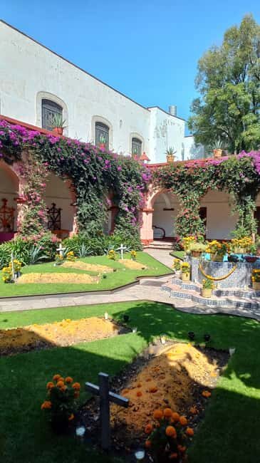 Coyoacan, history and life in a magical neighborhood - What You Can Expect on the Tour