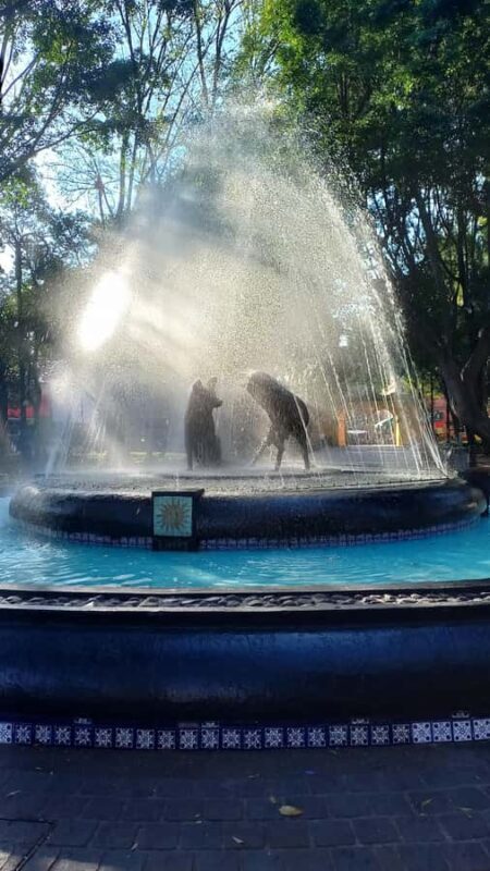 Coyoacán: History and Life of a Magical Neighborhood - The Sum Up