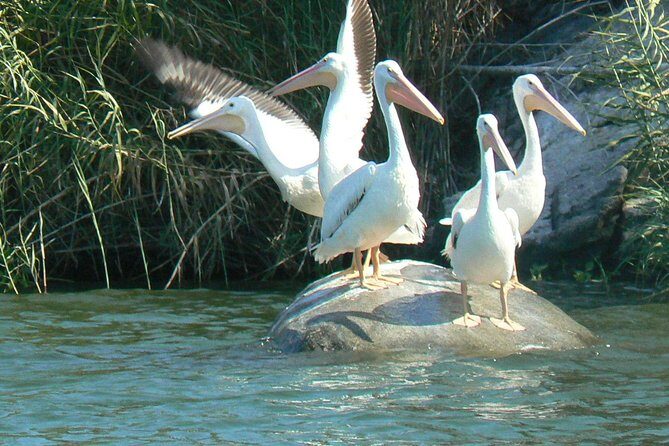 Coyuca Lagoon From Acapulco - A Detailed Look at Coyuca Lagoon From Acapulco