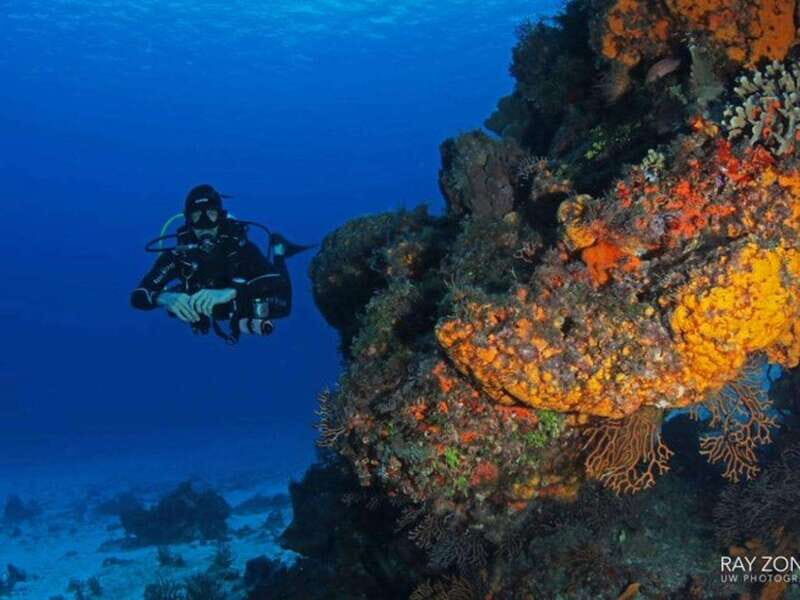 Cozumel: 6 Days Yoga, Sound Healing, and Dive Retreat - Diving Experience: Exploring Underwater Wonders