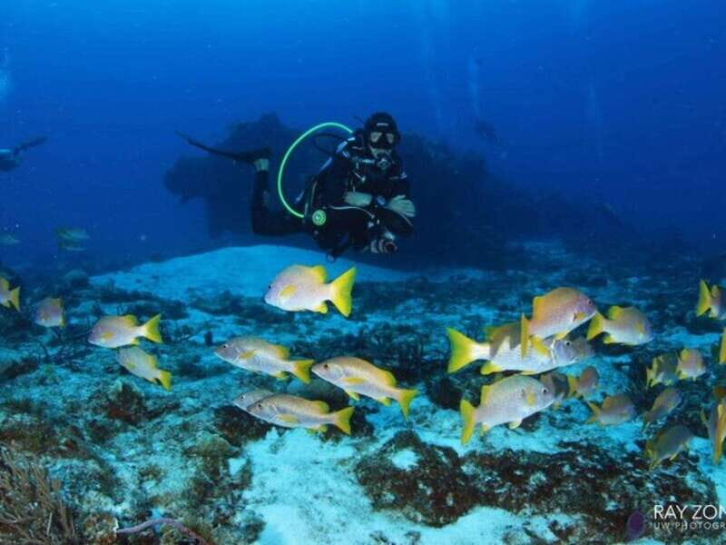 Cozumel: 6 Days Yoga, Sound Healing, and Dive Retreat - Logistics and Practicalities